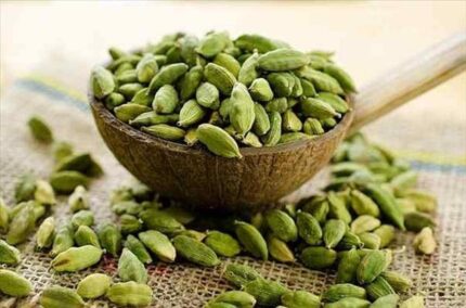 Green Cardamom Pods fresh & large pods Elettaria Elaichi 200 gm